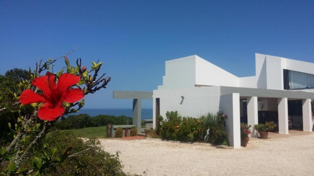 Herdade Amalia Rodrigues Zambujeira do Mar Exterior foto