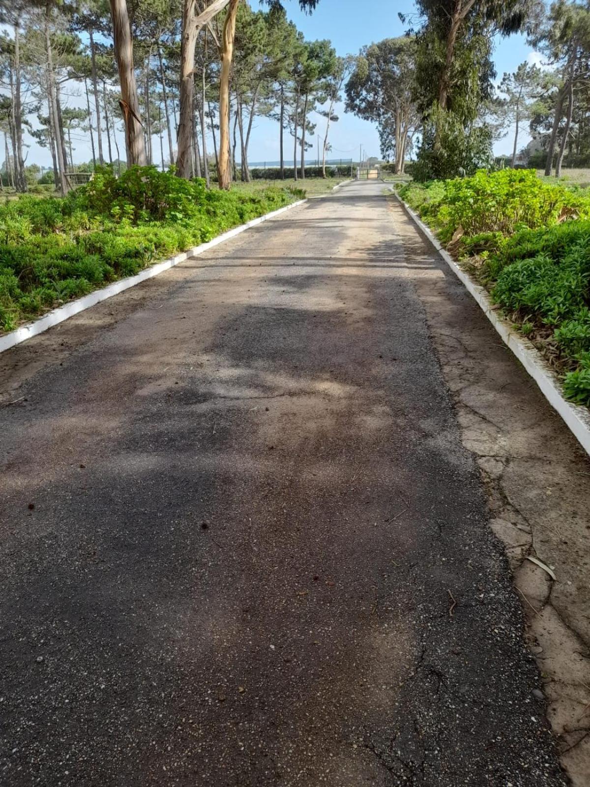 Herdade Amalia Rodrigues Zambujeira do Mar Exterior foto
