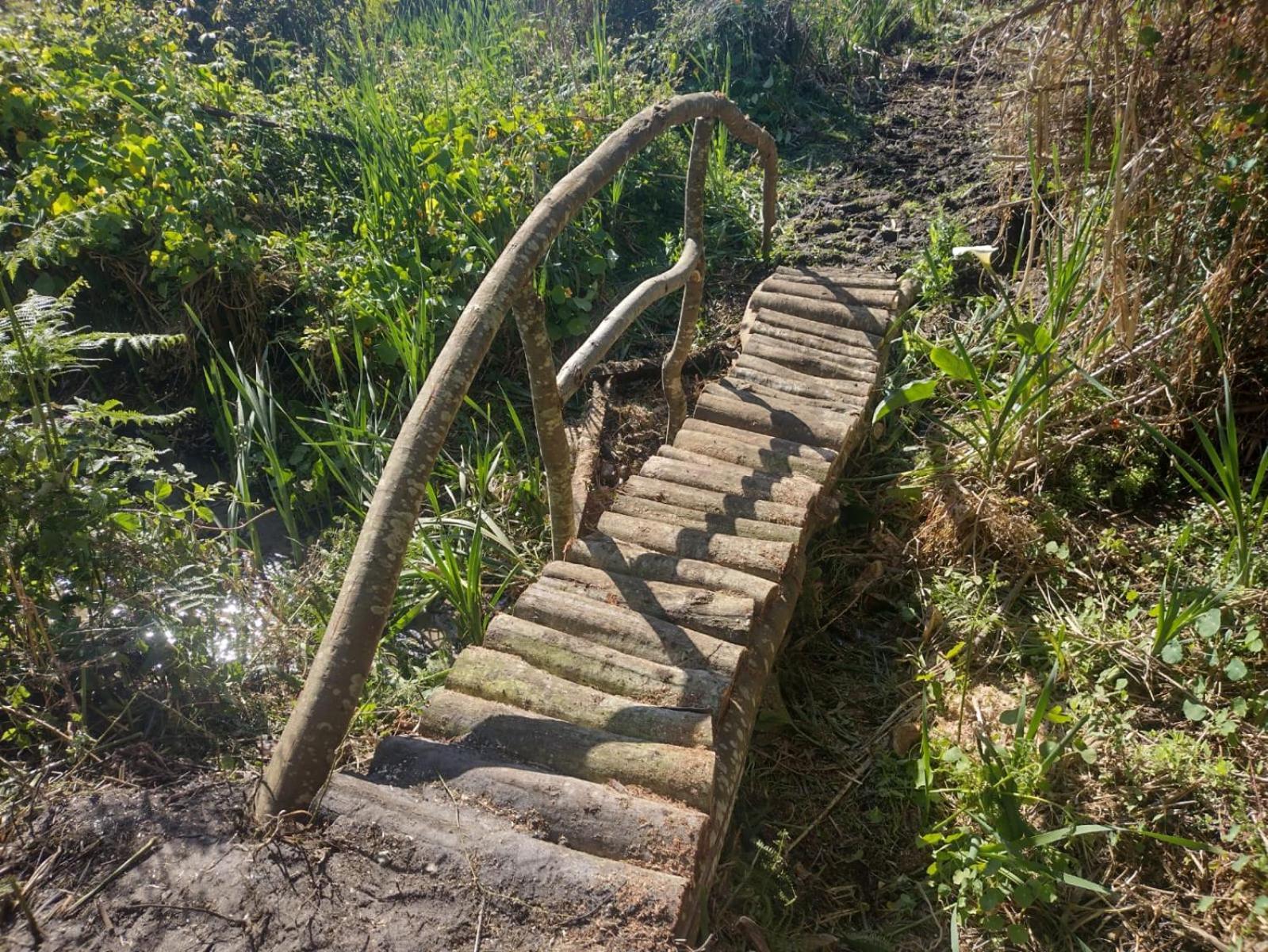 Herdade Amalia Rodrigues Zambujeira do Mar Exterior foto